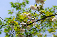 image0155