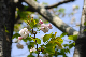 image0156