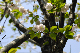 image0158