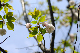 image0159