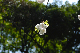 image0160