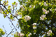 image0163