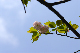 image0165