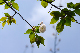 image0166
