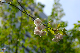 image0167