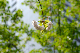 image0168
