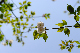 image0170
