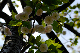 image0171