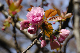 image0172
