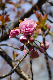image0173