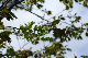 image0174