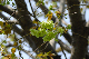 image0177