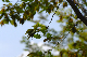 image0178