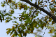 image0179