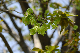 image0181