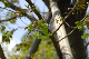 image0183
