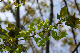 image0184
