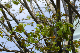 image0186