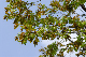 image0188