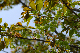 image0190