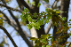 image0191
