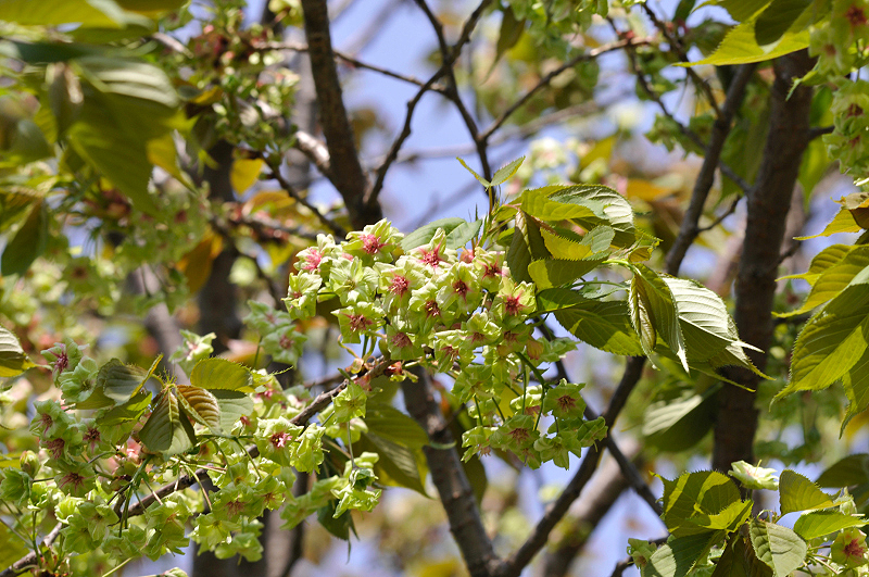 image0101
