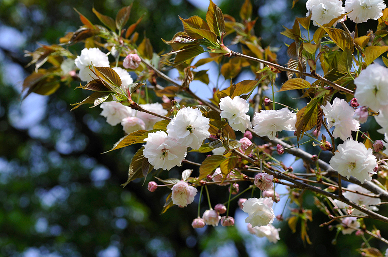 image0118
