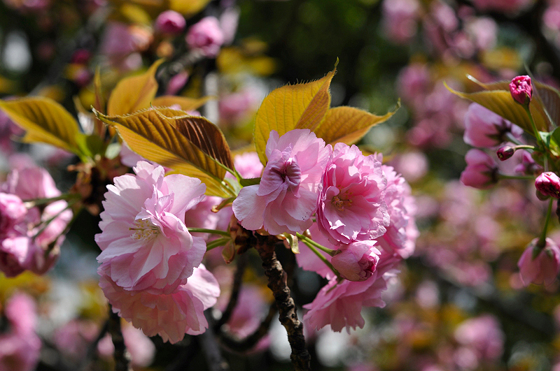 image0121