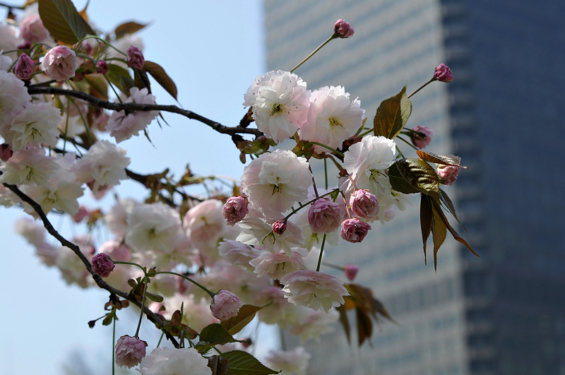 image0150