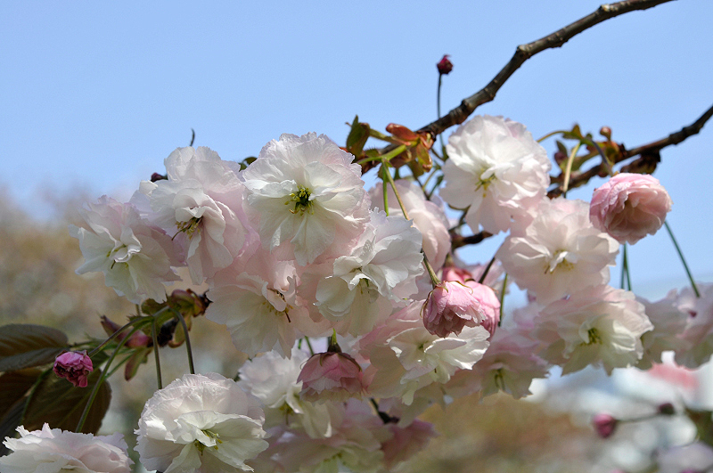 image0155