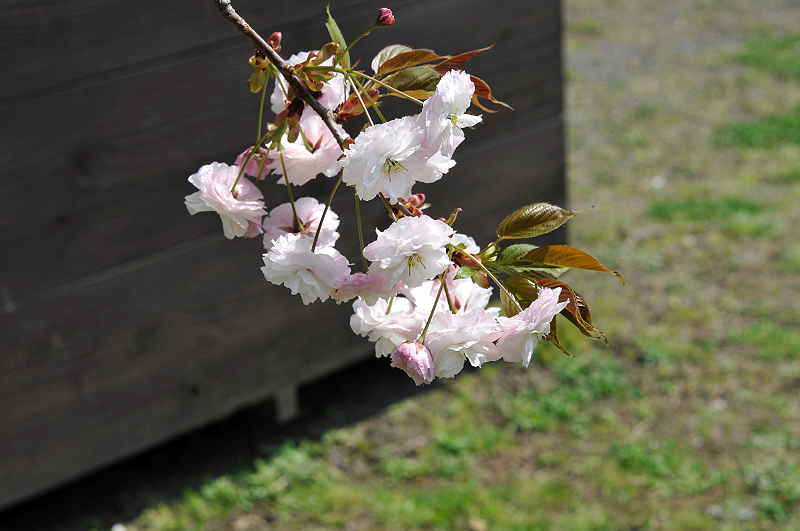image0163