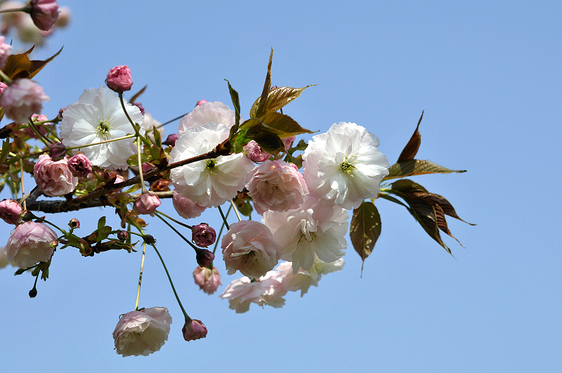 image0173