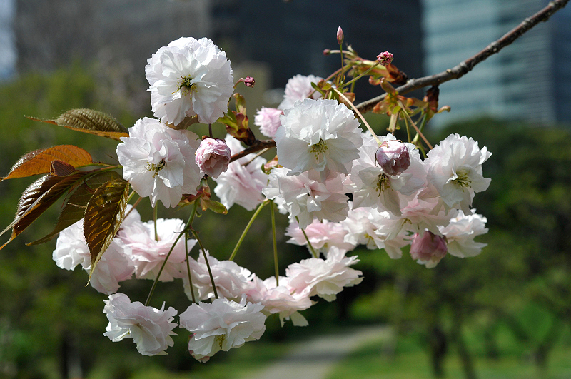 image0176