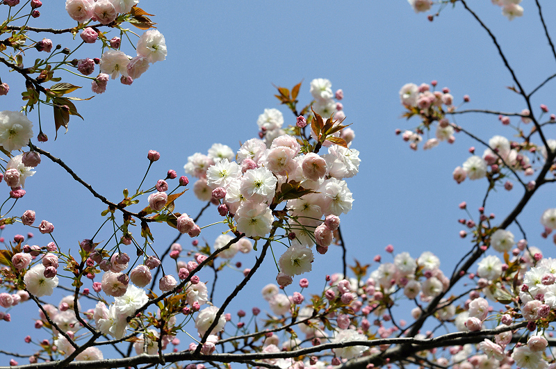 image0180