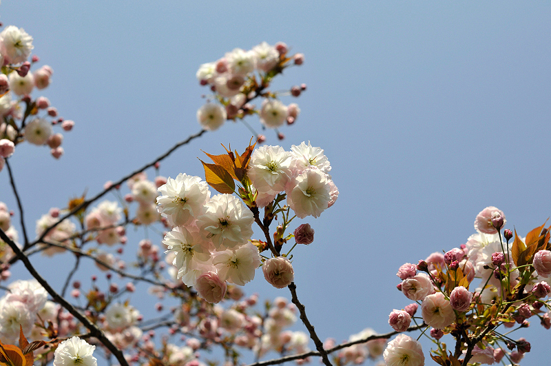 image0181