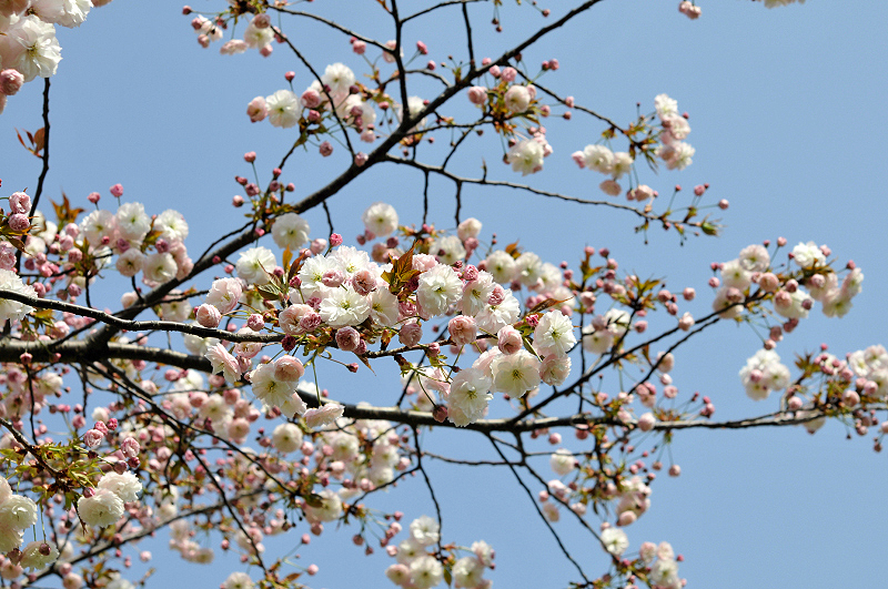 image0182