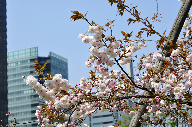 image0183
