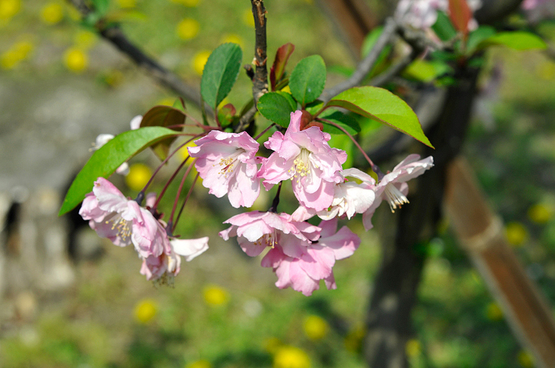 image0186
