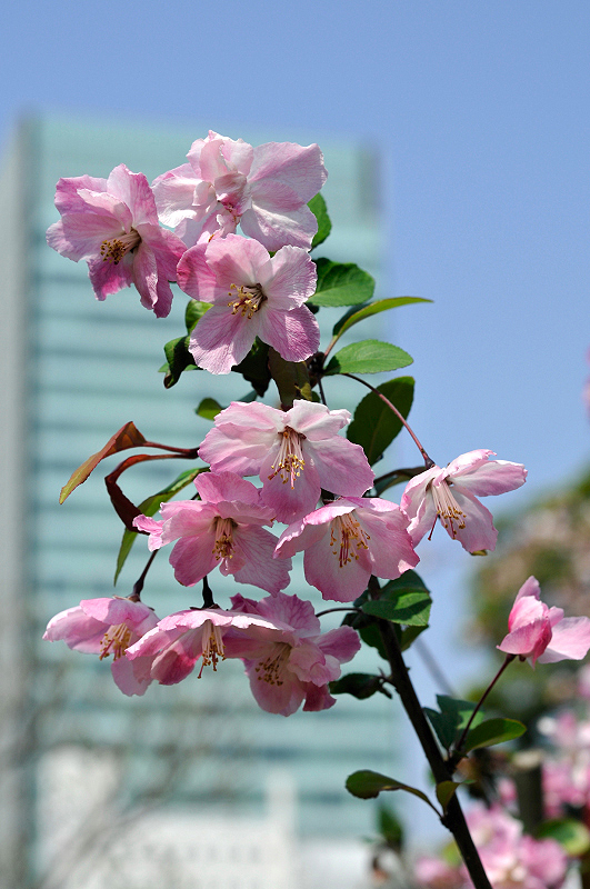 image0187