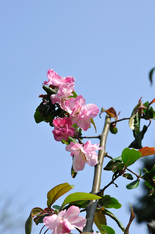 image0188