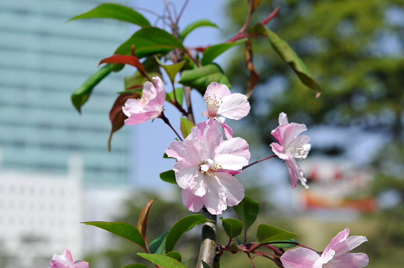 image0192