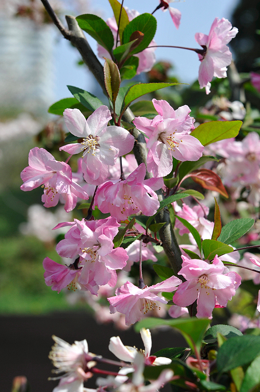 image0193