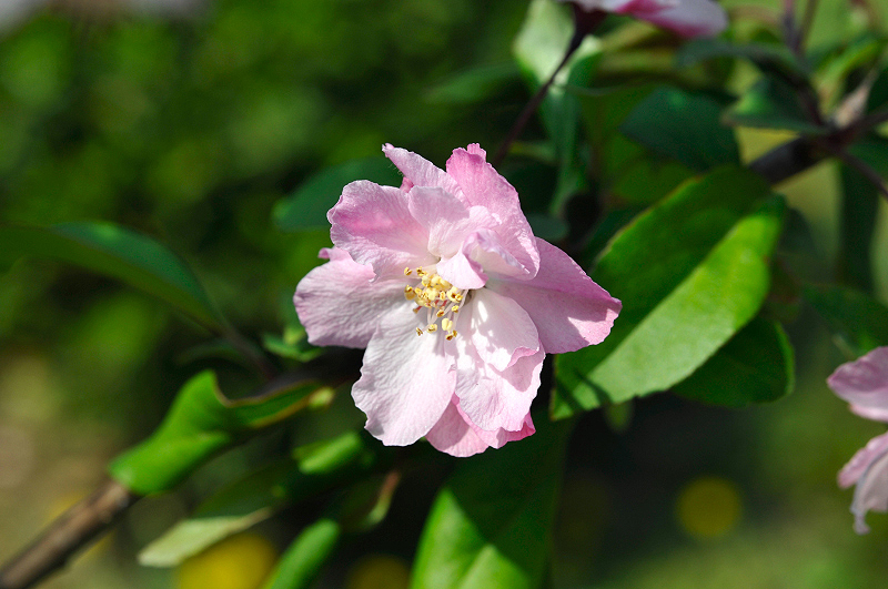 image0195