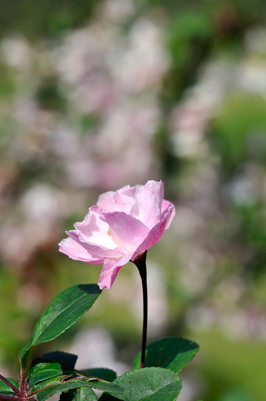 image0197