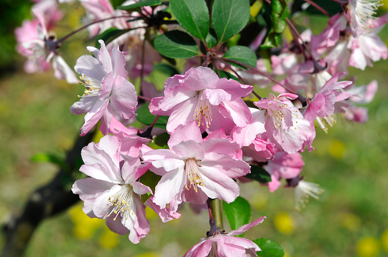 image0198