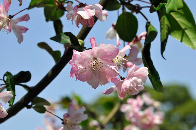 image0200