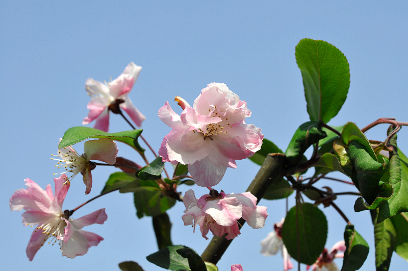 image0201