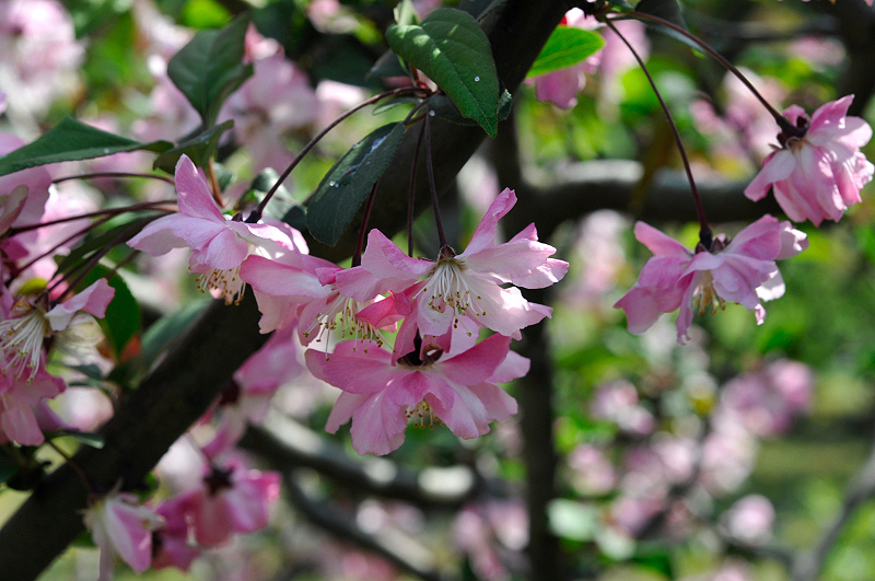 image0202