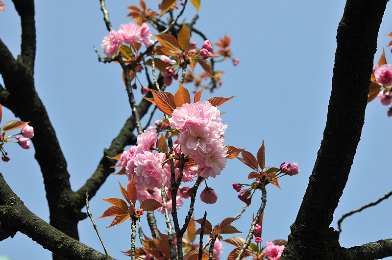 image0203