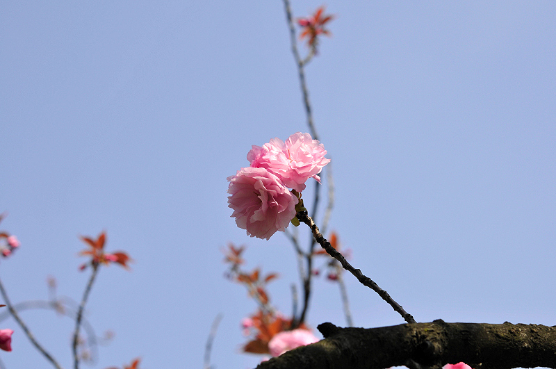 image0207